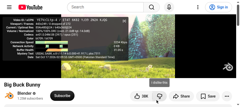 YouTube's 'Stats for nerds' overlay showing buffer health during a real playback test.